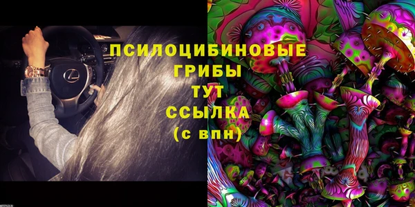 МДПВ Аркадак
