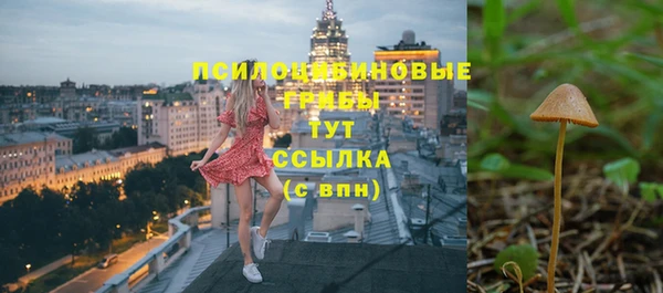 МДПВ Аркадак