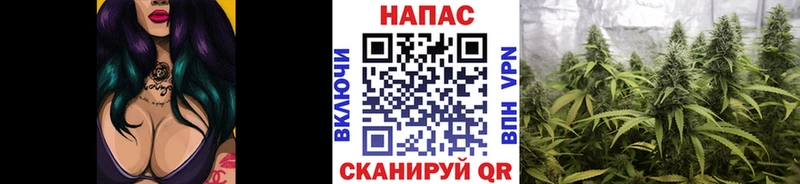 Каннабис тримм  Миньяр 